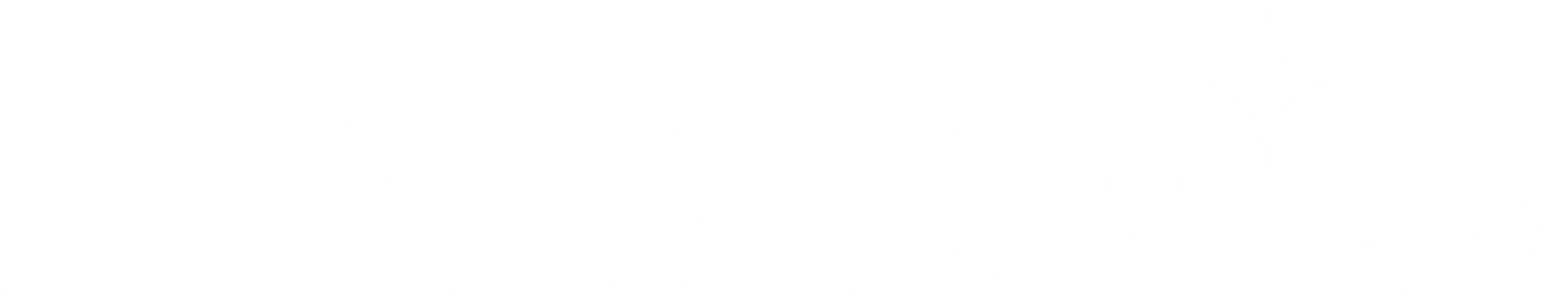 Logo Vital Glow Labs -01